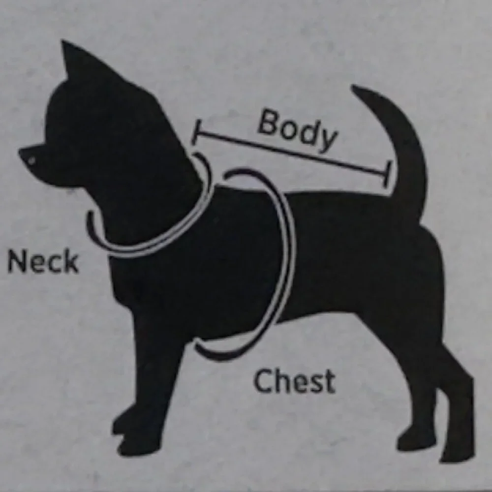 Halloween Novelty Pet Tee Medium Ghost and Pumpkin Design Black Dog Costume NEW